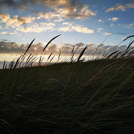 Luxurious Retreat In Blavand-by Traum * Blåvand