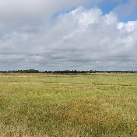 Luxurious Retreat In Blavand-by Traum Blåvand