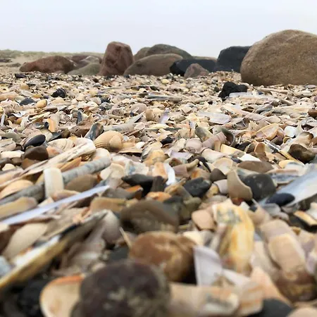 Luxurious Retreat In Blavand-by Traum Blåvand