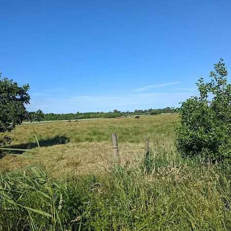5 Star Holiday Home In Blavand Blåvand