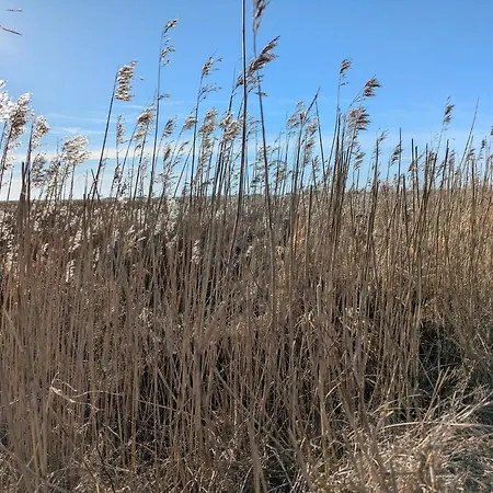 Luxurious Retreat In Blavand-by Traum Vakantiehuis